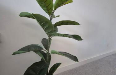 Ashers place - Foto 35