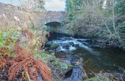 Bwthyn Y Felin - Foto 30