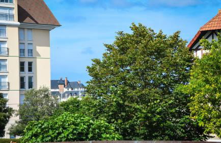 Superbe appartement proche port Guillaume - Foto 31