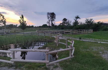 Alda House Terra - Foto 19