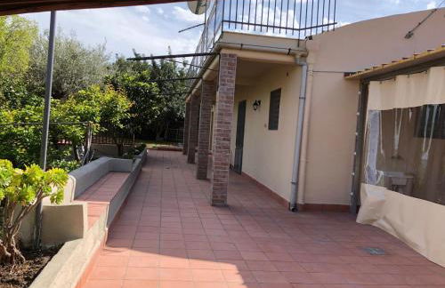 Carrubo - Giardino in città - Foto 14