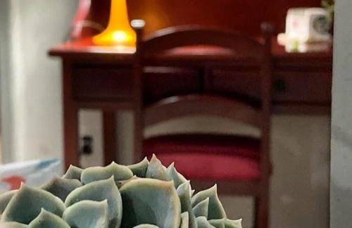 Casa Vintage, tranquilidade no Prado - Foto 23