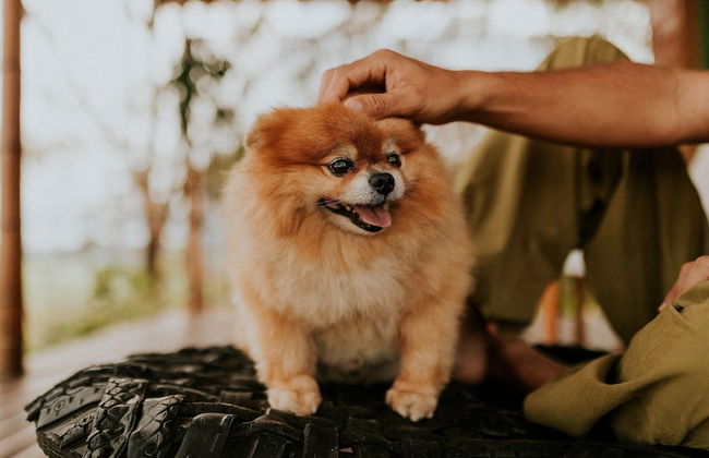 Bangalô Ametista - Foto 22