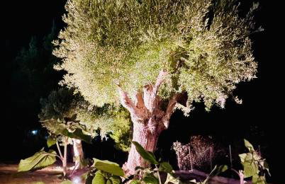 Epos Villas & Luxury Studios - Foto 48