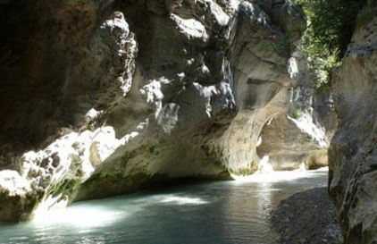 La plume du Ventoux suite 305 - Foto 15