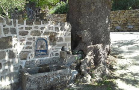 Traditional House Koukounara - Foto 38