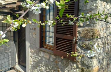 Autenticum Agriturismo Tolfa - Foto 1