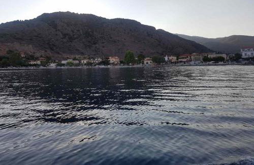 Oasis Studios AG PANTES - Photo 18