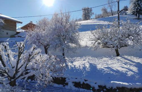 La Tanière - Foto 19