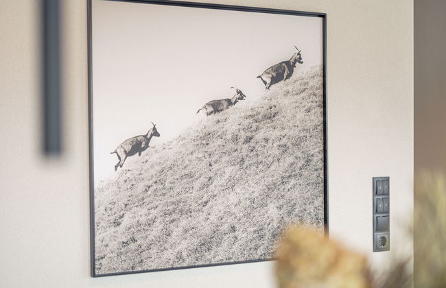 Superior mit IR-Sauna - Foto 6