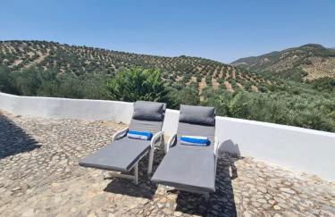 Cortijo Las Rodrigas - Foto 25