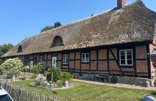 Erholung unterm Reetdach - Foto 2