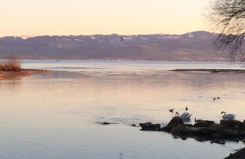Ferienwohnung am Bodensee - Foto 10