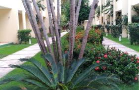 Solar pipa duplex lua cheia - Foto 19