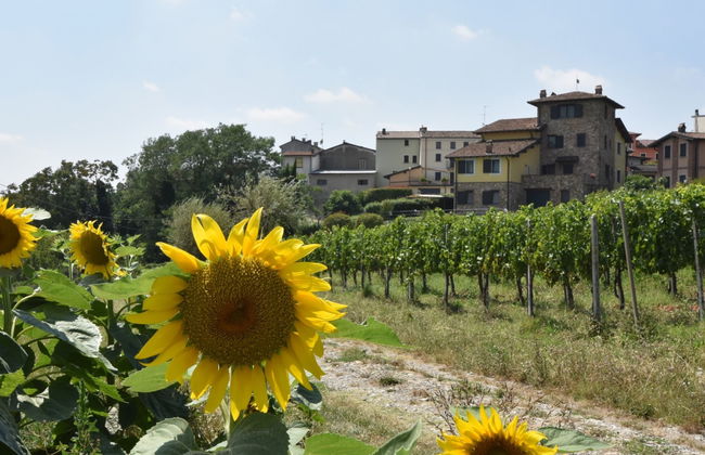 La Corte Bricca (Trilo Torretta) - Foto 25