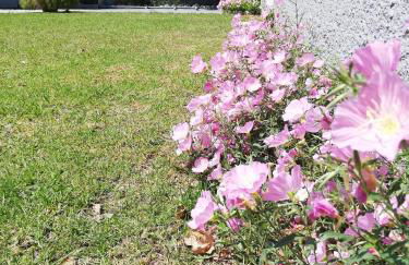 Anestis Studios - Foto 24