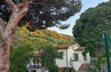 La casa dei mandorli - Foto 35