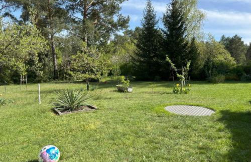 Tornower Waldhäusl, perfekt gelegen 60 km vor Berlin, auf der Schwelle zum Spreewald und nahe Tropical Islands - Foto 14