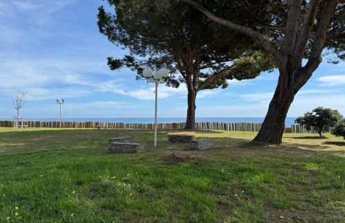 Appartement n 302 moriani plage - Foto 37