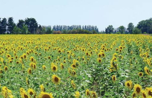 Pet Friendly Home In Uzès - Foto 40
