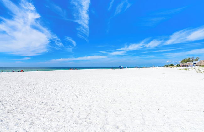 Runaway Tropical Waves-pet Friendly - Foto 51