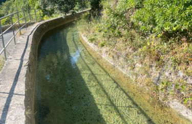 Gîte Le Figuier de Saint Ce Jardinet Terrasse Vue - Foto 44