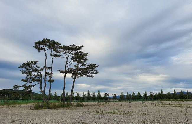 Haha Pension - Foto 56