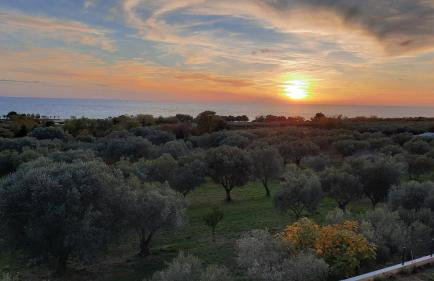 Apartma Coccolo - Foto 19