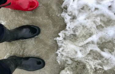 Ferienwohnung Suederbootfahrt - Ruheoase für Naturliebhaber in Katingsiel zwischen Tönning und St Peter Ording perfekt für Radtouren - Foto 23