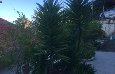 Appartement villa toit terrasse - Foto 53