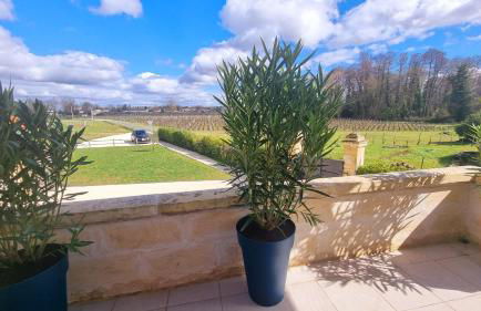 LA MAISON DES VIGNES SAINT EMILION - Foto 23