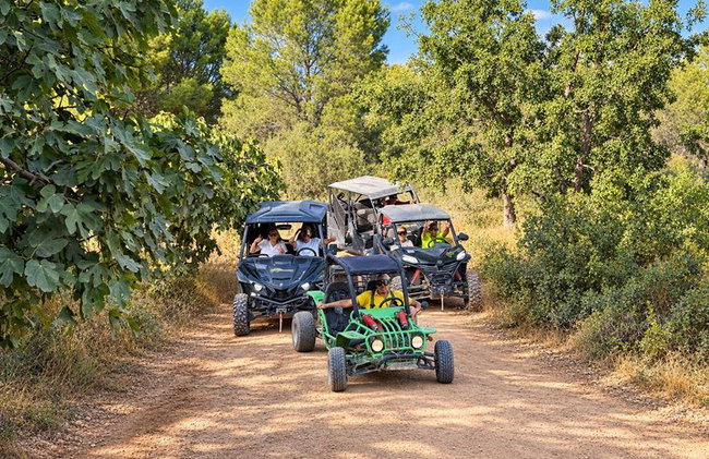 Tour panoramici in buggy a Benidorm - Foto 3