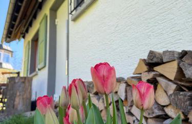 Ferienhäusel Allemühl - Foto 31