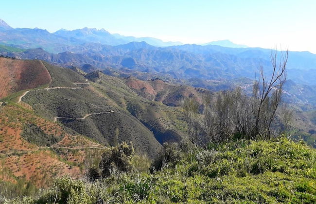 Private Pool Retreat Almogia - Foto 41