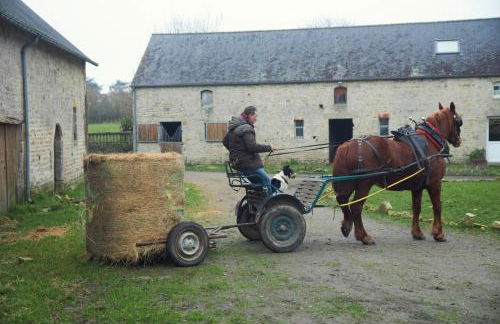 Ferme de Franqueville - Foto 30