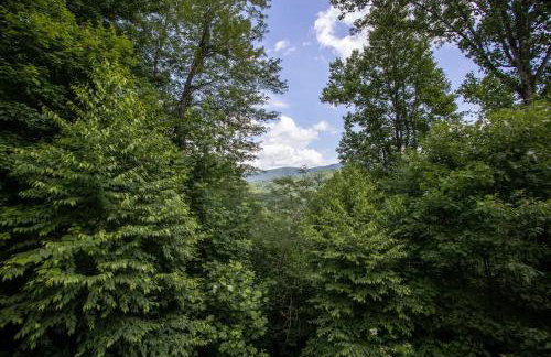 Willow Valley View - Foto 35