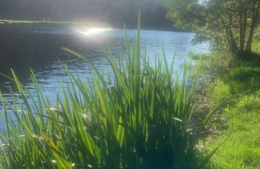 Le Café Crème jardin parking - Foto 30
