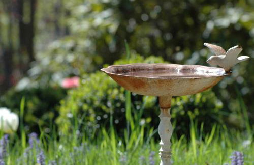 Ferienhaus Nest - Foto 17