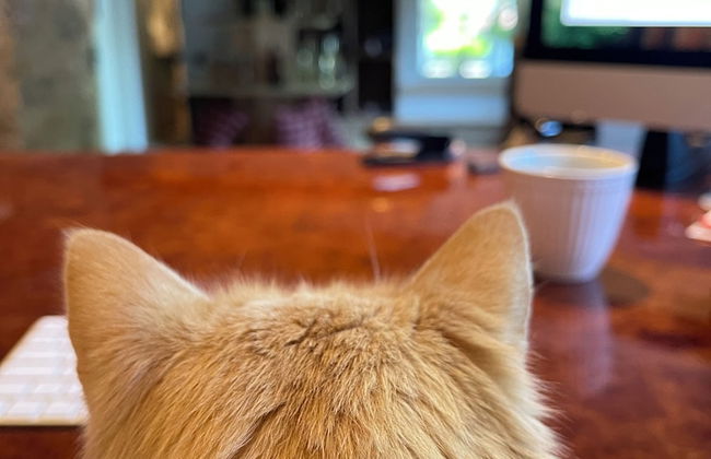 Chalet Hirschbach - Photo 2