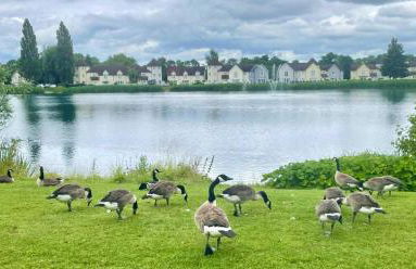 Nyhavn Lakeside Cottage - Foto 45