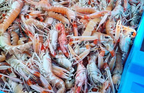 Lostendro, appartements vue port - Foto 14