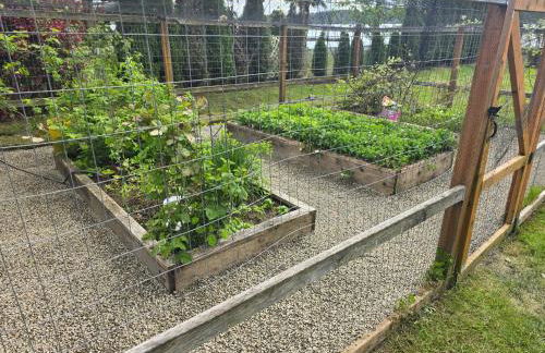 Lux Lakefront Estate, Sandy Beach, Hot Tub, Sauna, Dock, Treehouse & Deck - Foto 19