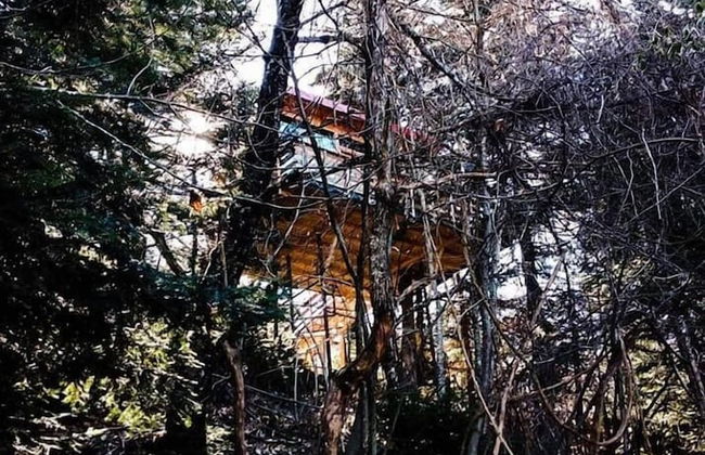 Kedra Village - Foto 38