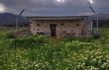 Mitatos "Matthew" - Foto 46