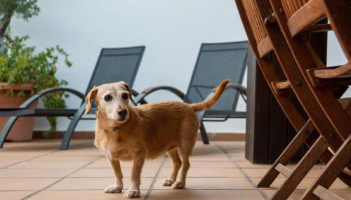 "Charm & Cozy 4BR - 3BA with Pool & Barbecue" - Photo 5