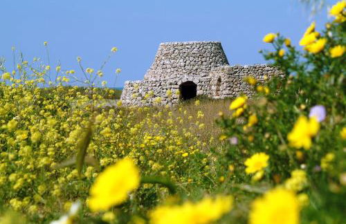 VILLA ROSA MEDITERRANEA - Foto 62