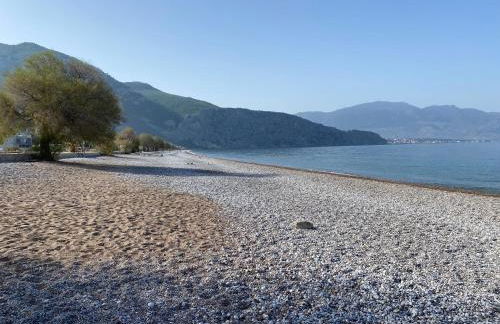 Georgia Psatha - Foto 29