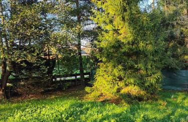Sielanka, wyjątkowy dom, jacuzzi - Foto 63