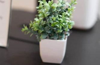 Kipps Hill Haven B — Folsom Lake Escape - Foto 20