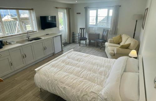 Large New Studio Apartment and Hot Tub - Private Hideaway in the Brecon Beacons - Photo 4